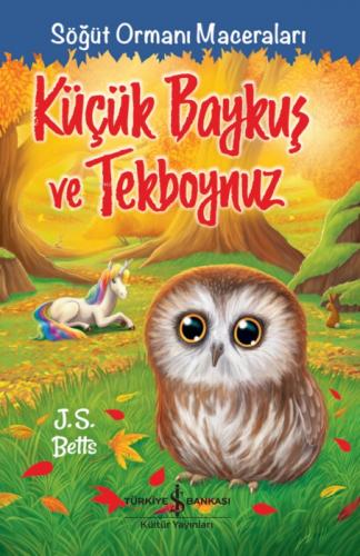 Küçük Baykuş ve Tekboynuz  Frontansicht 1