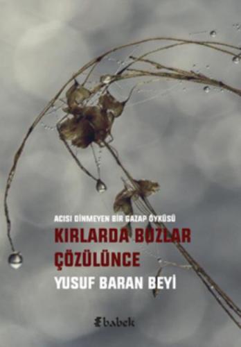 Kırlarda Buzlar Çözülünce  Frontansicht 1