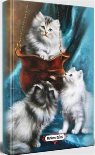 Minik Patiler - Planlama Defteri  Frontansicht 1