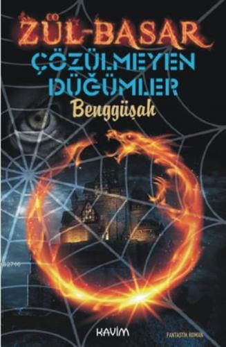 Zül-Basar Çözülmeyen Düğümler  Frontansicht 1