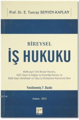 Bireysel İş Hukuku  Frontansicht 1