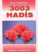 3003 Hadis (Hadis-002)  Frontansicht 1