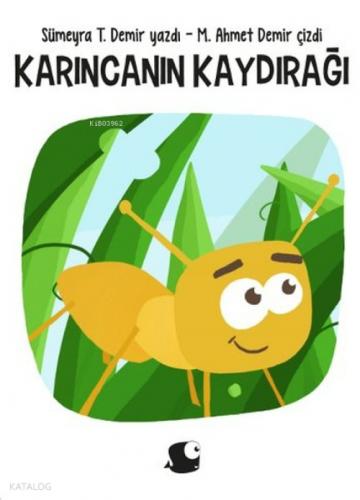 Karıncanın Kaydırağı  Frontansicht 1