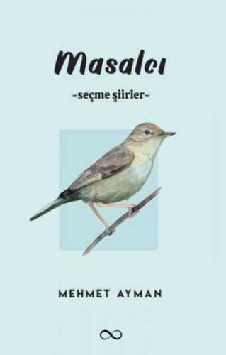 Masalcı  Frontansicht 1