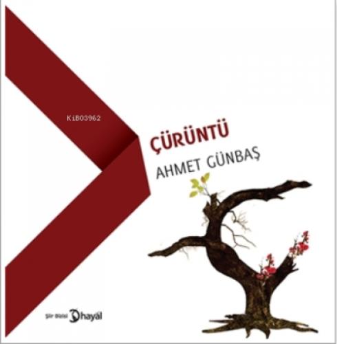 Çürüntü  Frontansicht 1