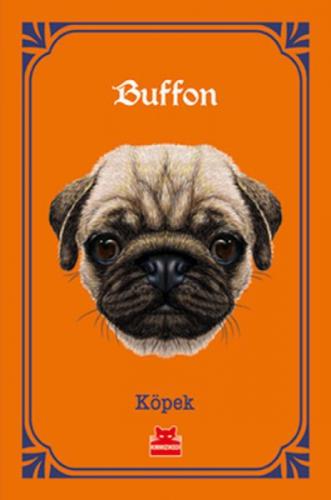 Köpek  Frontansicht 1