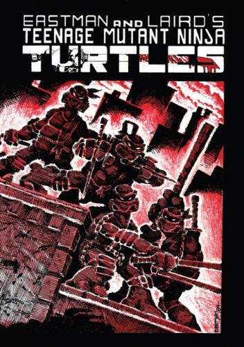 Ninja Kaplumbaðalar 1  Frontansicht 1