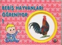 Bebiş  Frontansicht 1