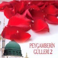 Peygamberin Gülleri 2 (CD)  Frontansicht 1