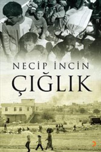 Çığlık  Frontansicht 1