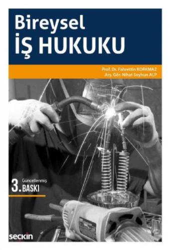Bireysel İş Hukuku  Frontansicht 1