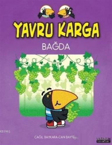 Yavru Karga Bağda  Frontansicht 1