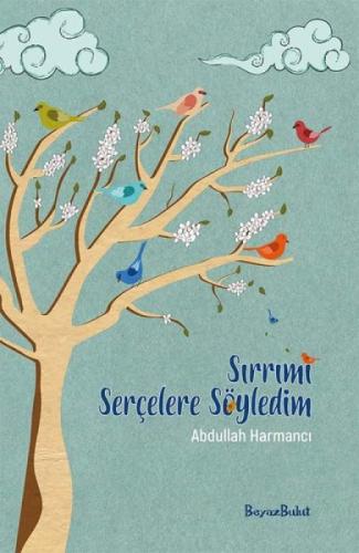 Sırrımı Serçelere Söyledim  Frontansicht 1