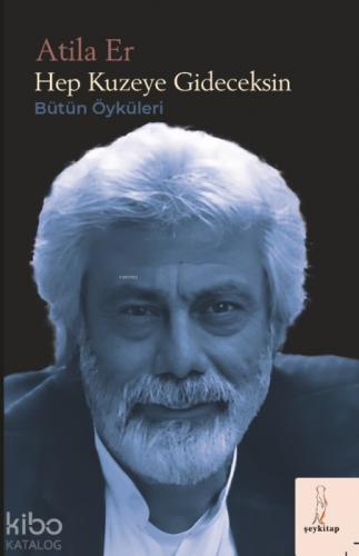 Hep Kuzeye Gideceksin;Bütün Öyküler  Frontansicht 1