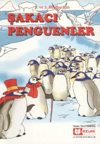 Şakacı Penguenler  Frontansicht 1