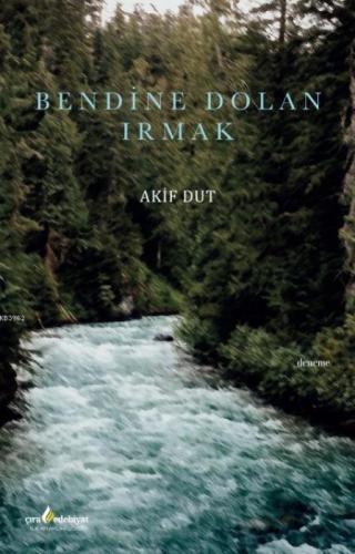 Bendine Dolan Irmak  Frontansicht 1