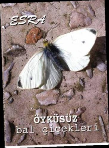 Öyküsüz Bal Çiçekleri  Frontansicht 1