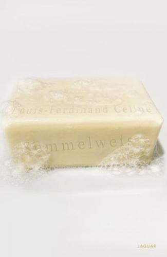 Semmelweis  Frontansicht 1