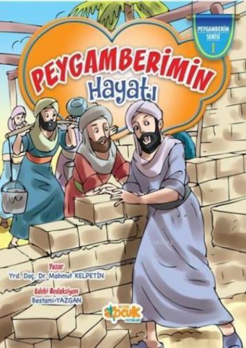 Peygamberimin Hayatı  Frontansicht 1