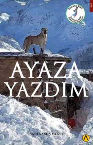 Ayaza Yazdım  Frontansicht 1