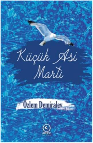 Küçük Asi Martı  Frontansicht 1