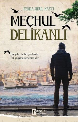 Meçhul Delikanlı  Frontansicht 1