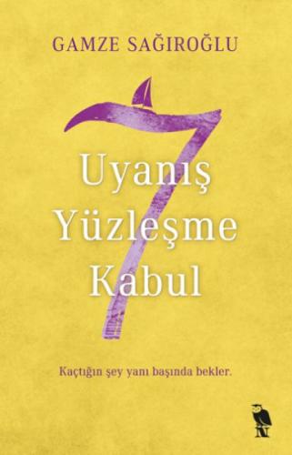 7 Uyanıþ Yüzleþme Kabul  Frontansicht 1