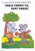 Tarla Faresi İle Kent Faresi 8  Frontansicht 1