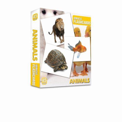 Miracle FlashCards| Animals  Frontansicht 1