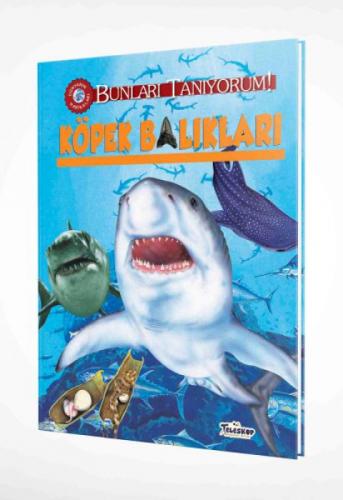 Köpek Balıkları - Bunları Tanıyorum!  Frontansicht 1