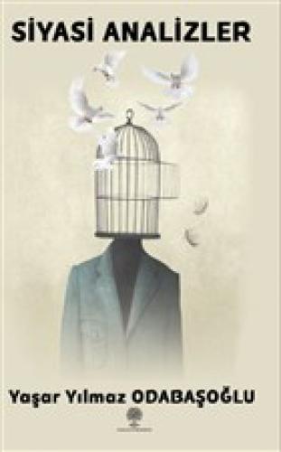 Siyasi Analizler  Frontansicht 1