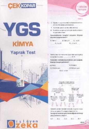 YGS Kimya Yaprak Test  Frontansicht 1