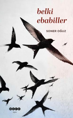 Belki Ebabiller  Frontansicht 1