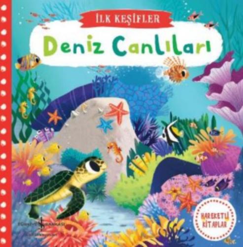Deniz Canlıları  Frontansicht 1