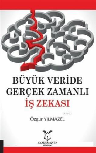 Büyük Veride Gerçek Zamanlı İş Zekası  Frontansicht 1