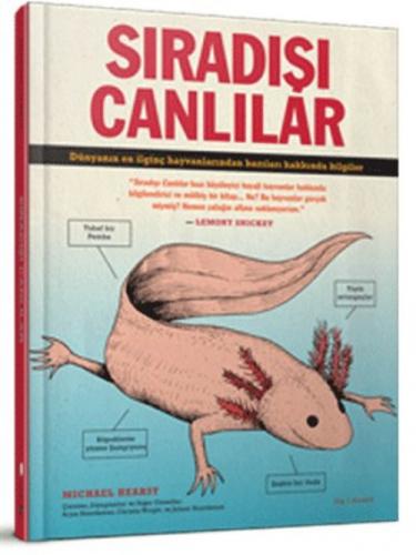 Sıradışı  Frontansicht 1