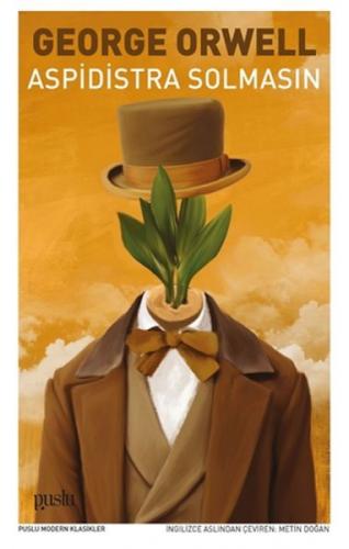 Aspidistra Solmasın  Frontansicht 1