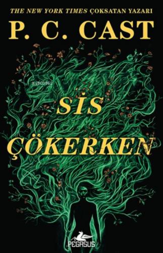 Sis Çökerken  Frontansicht 1