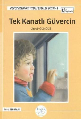 Tek Kanatlı  Frontansicht 1