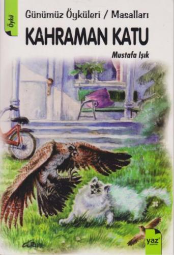 Kahraman Katu  Frontansicht 1