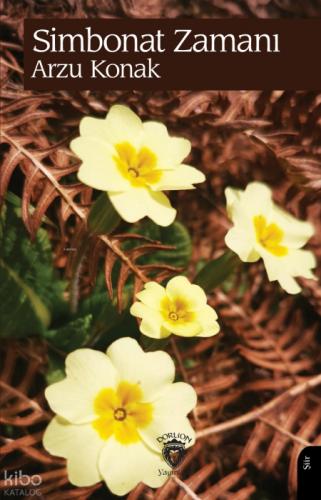 Simbonat Zamanı  Frontansicht 1