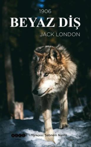 Beyaz Diş  Frontansicht 1