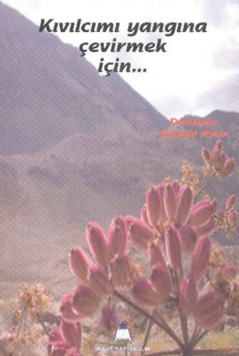 Kıvılcımı  Frontansicht 1