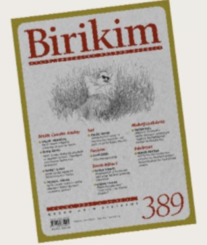 BİRİKİM sayı 389 / EYLÜL  Frontansicht 1