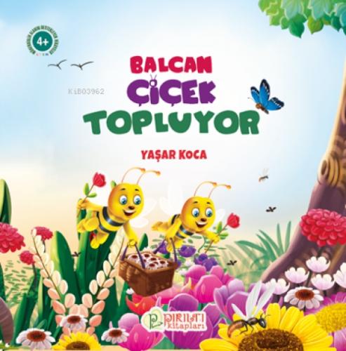 Balcan Çiçek Topluyor - 6 -  Frontansicht 1