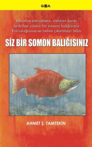 Siz Bir Somon Balıðısınız  Frontansicht 1