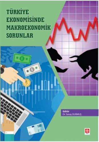 Türkiye Ekonomisinde Makroekonomik Sorunlar  Frontansicht 1