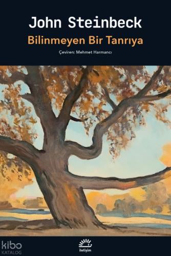 Bilinmeyen Bir Tanrıya  Frontansicht 1