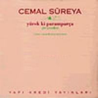 Yürek ki Paramparça; Şiir Çevirileri  Frontansicht 1