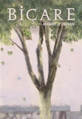 Biçare  Frontansicht 1